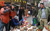 Lên ngay chợ hoa Hàng Lược để thấy Tết về